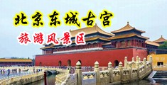 大鸡巴操逼试看中国北京-东城古宫旅游风景区